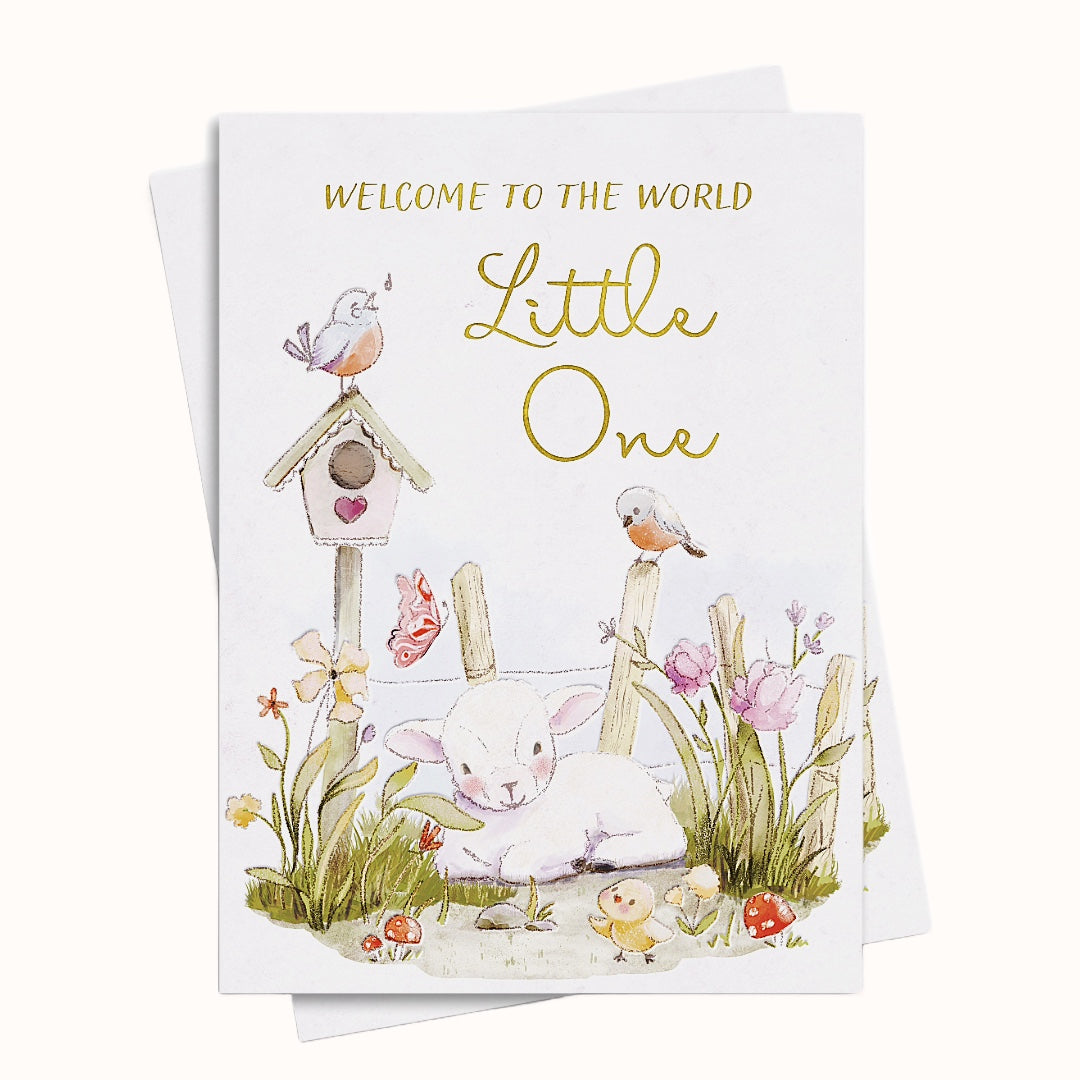 Greeting card with a baby rabbit, birds, and flowers, featuring the text 'Welcome to the World Little One'.